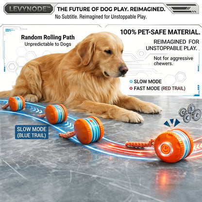 RollaPaws™ - Interactive Dog Toy