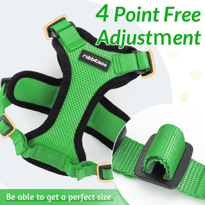 RabbitHaven Cat Harness and Leash Set