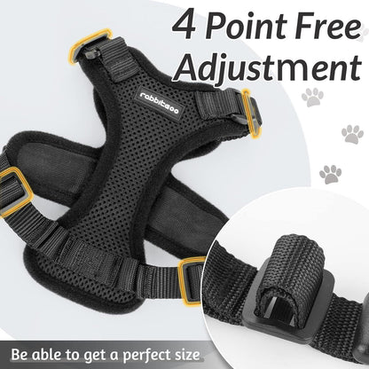 RabbitHaven Cat Harness and Leash Set