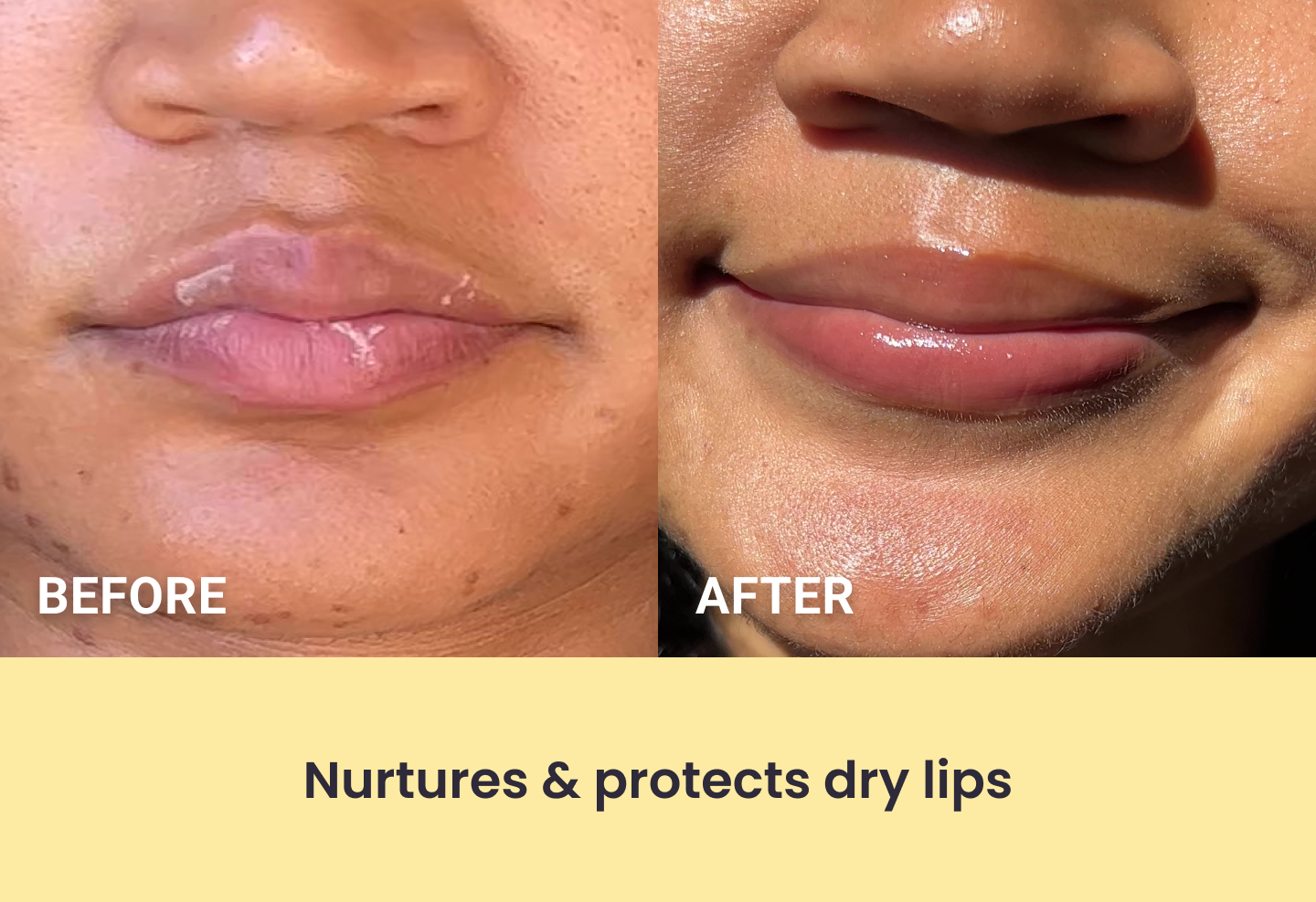 Honey Bliss Lip Balm