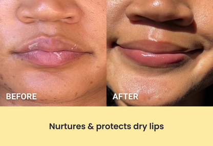 Honey Bliss Lip Balm