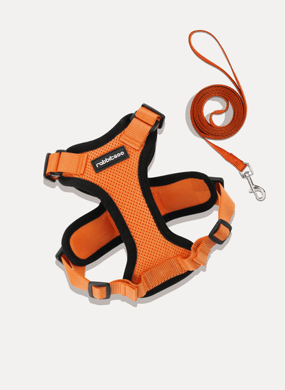 RabbitHaven Cat Harness and Leash Set