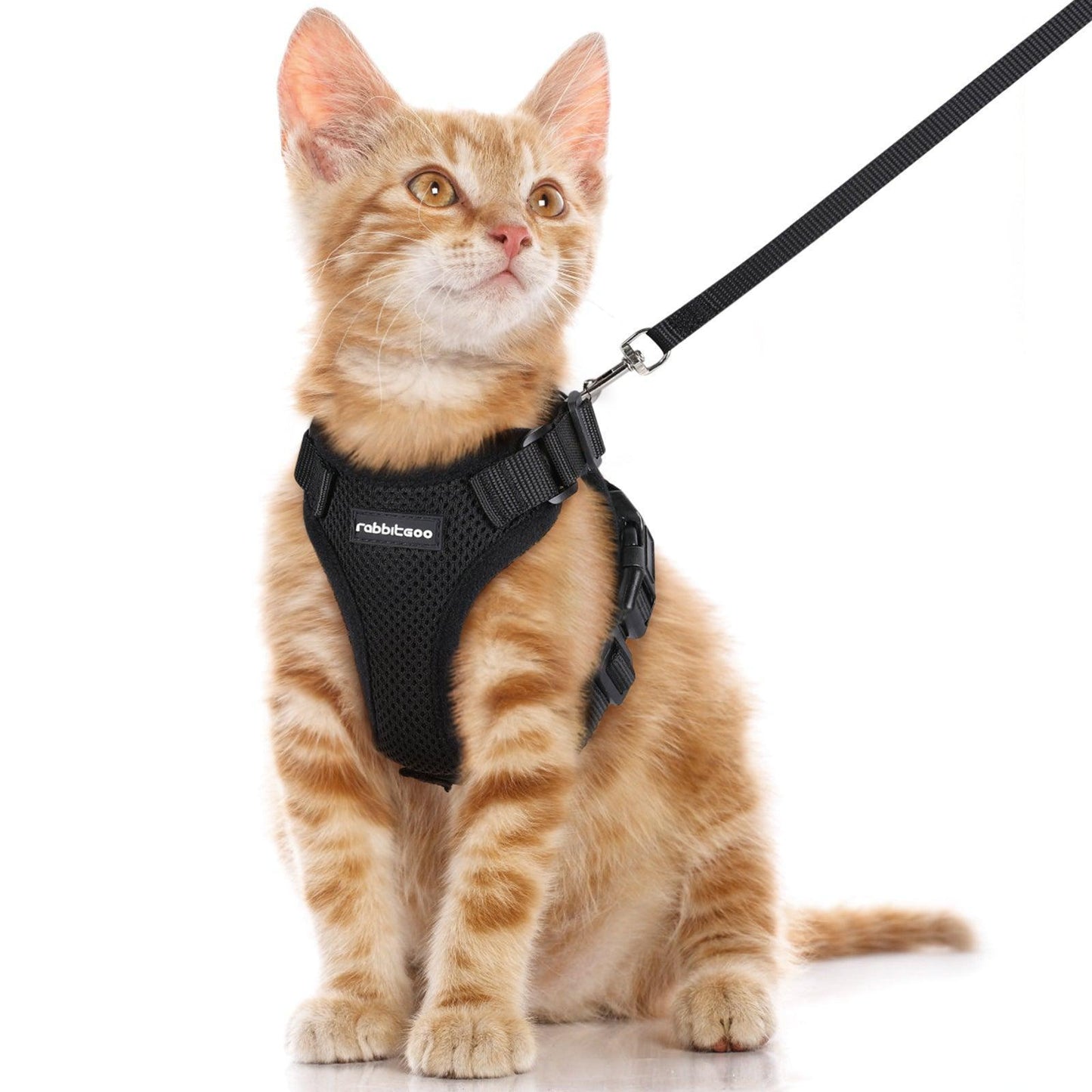 RabbitHaven Cat Harness and Leash Set