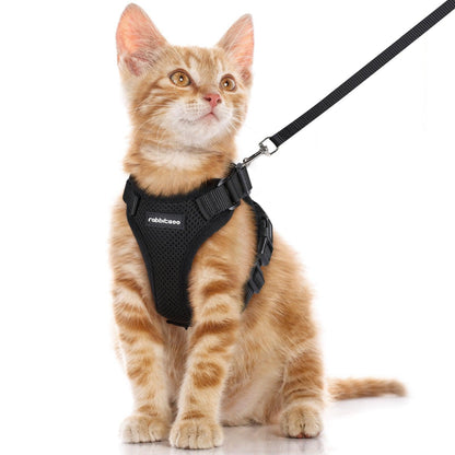 RabbitHaven Cat Harness and Leash Set