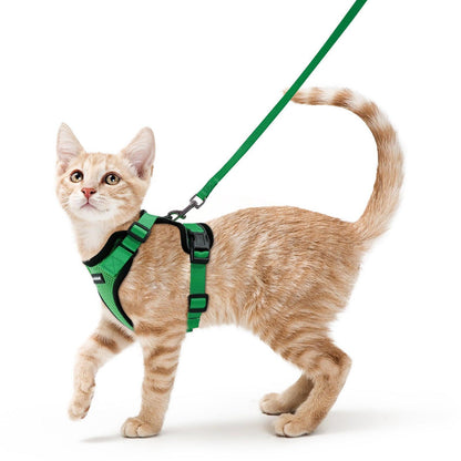 RabbitHaven Cat Harness and Leash Set