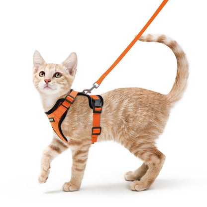 RabbitHaven Cat Harness and Leash Set
