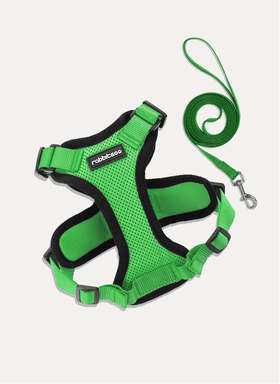 RabbitHaven Cat Harness and Leash Set
