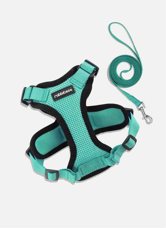 RabbitHaven Cat Harness and Leash Set