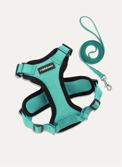 RabbitHaven Cat Harness and Leash Set