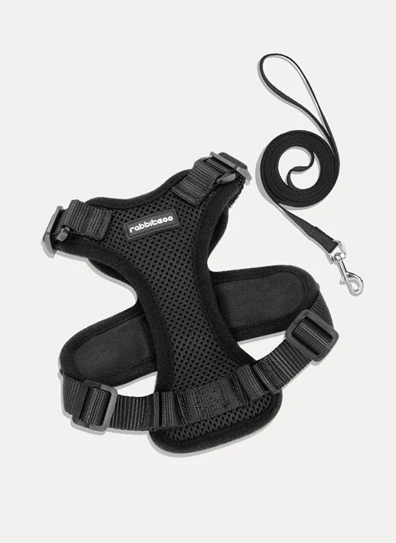 RabbitHaven Cat Harness and Leash Set