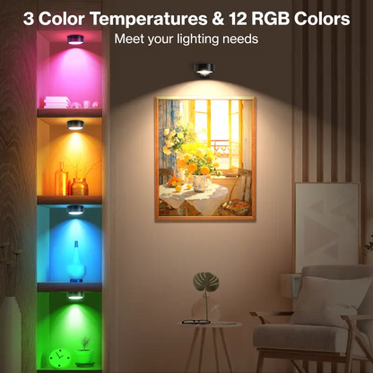 ArtGlow™ - LED Picture Light