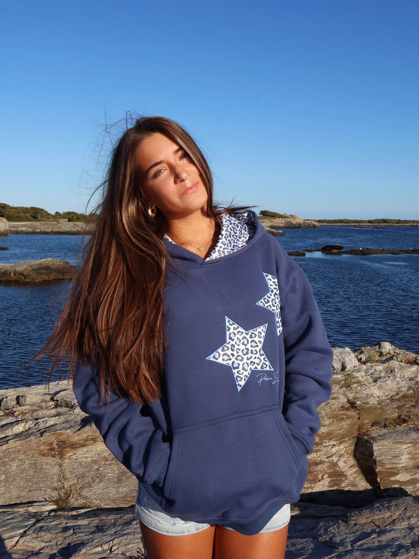 Comfy Hoodies Collection